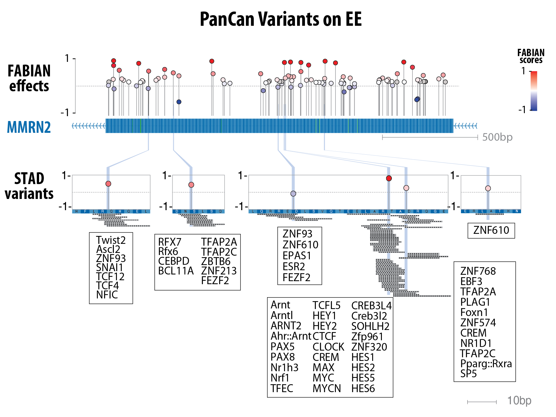 Lollipop plot of Exonic Enhancers